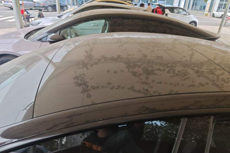 Used Tesla Model 3 2021 Standard Range Rear-Drive Upgraded Version