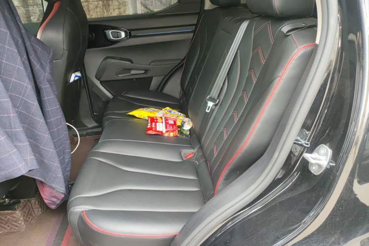 Used Haval X DOG 2022 1.5T DCT Two-Wheel Drive Trendy Edition Left Rear Seat