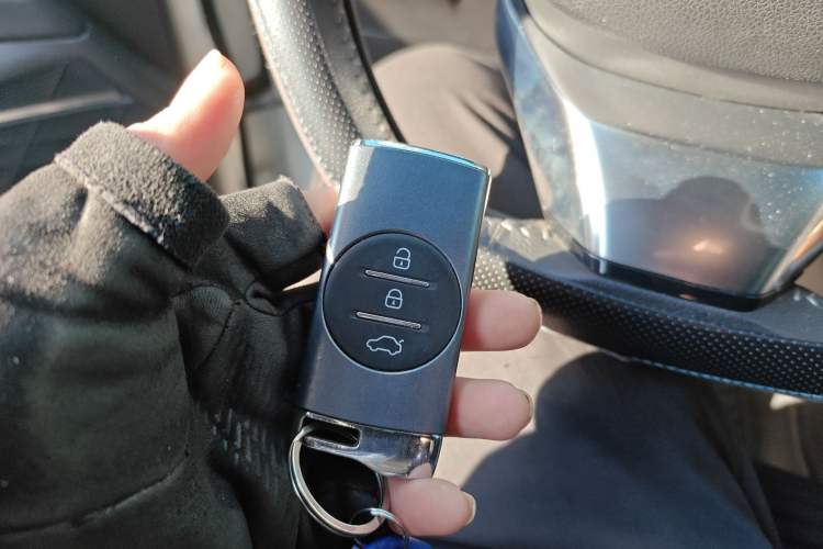 Used EXEED TX 2019 1.6T Four-Wheel Drive Platinum Edition
