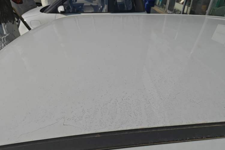 Used Qiyuan Lumin 2025 205 km Xiangqin Version
