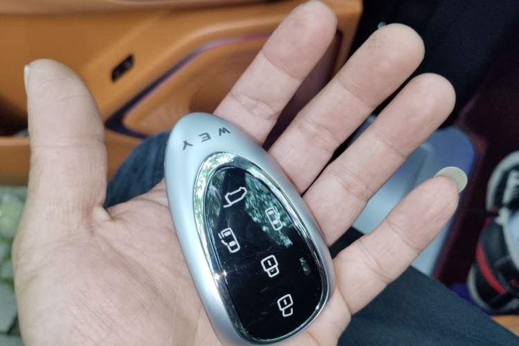 Used Wey Gaoshan 2025 Four-Wheel Drive Alpine 8 Vehicle Key