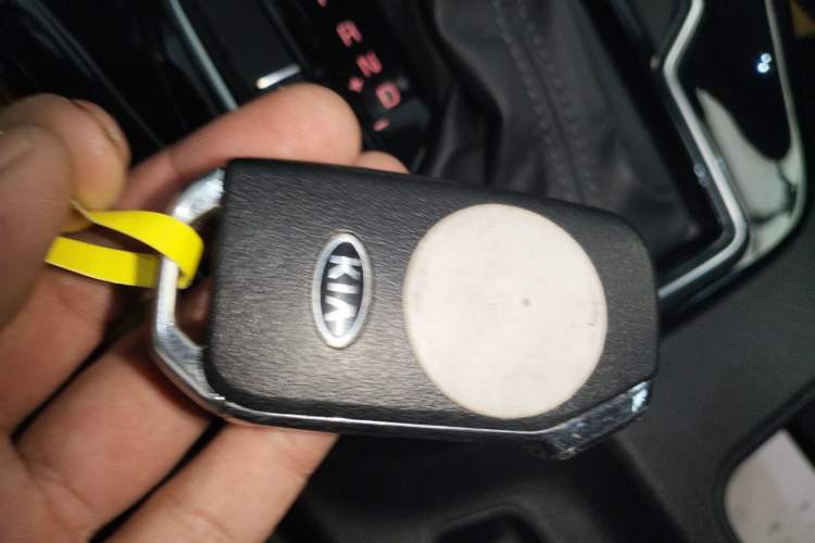 Used Kia Sportage R 2019 2.0L Automatic Smart Luxury Edition