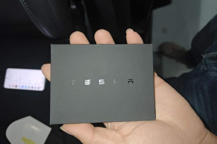 Used Tesla Model Y L 2025 Model Long-Range All-Wheel-Drive Version