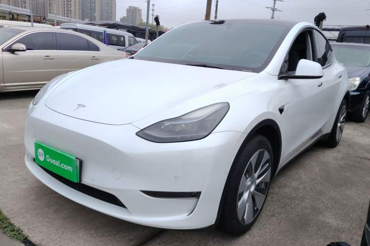 Used Tesla Model Y 2022 Revised Version Long-Range All-Wheel Drive