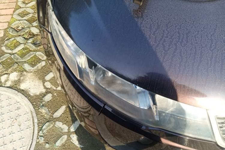 Used Kia Forte 2012 1.6L MT GL Commemorative Edition