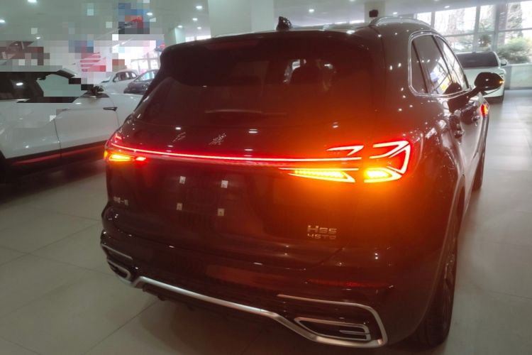 Used Hongqi HS5 2025 2.0T Two-Wheel Drive 600 000-Vehicle Commemorative Edition Rear