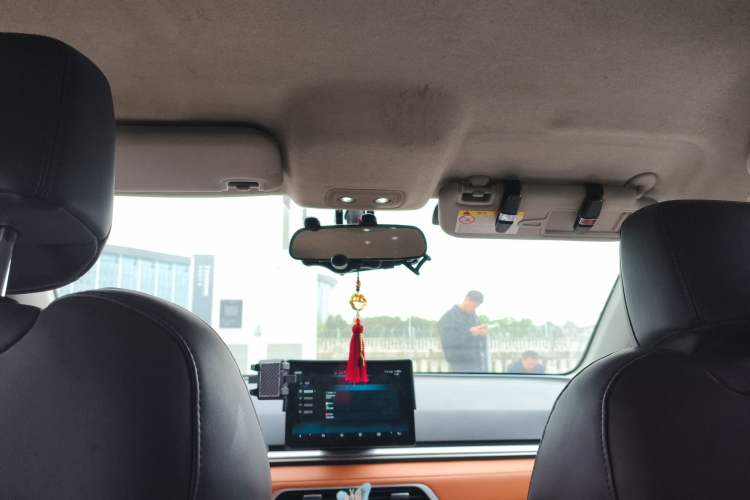 Used BYD e2 2021 Luxury Model Headliner