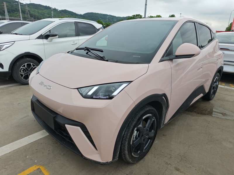 Used BYD Seagull 2024 Honor Edition 305km Freedom Version — 1