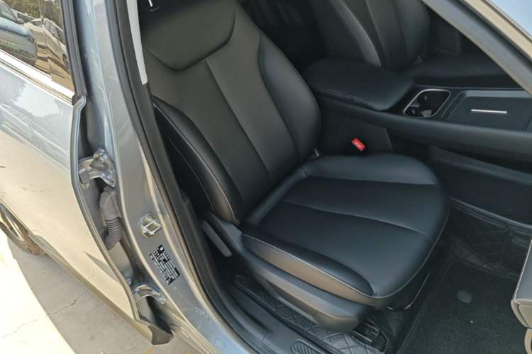 Used Baojun Yunhai 2024 600km Pure Electric Version Right Front Seat