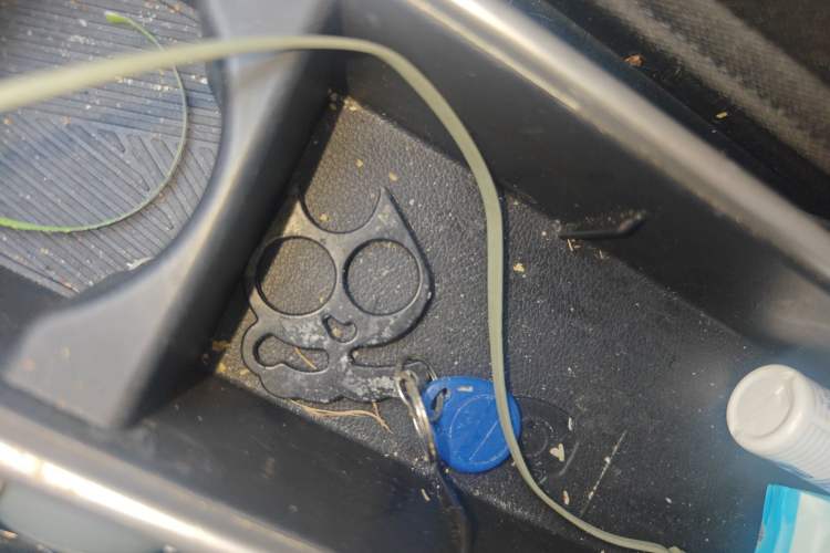 Used NETA V 2021 Long-Range Entertainment Edition Upgrade Model
