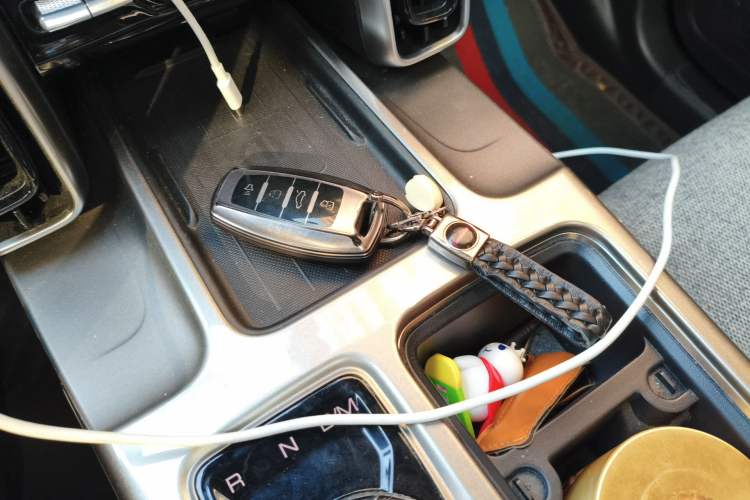 Used Haval DARGO 2024 2.0T DCT Chinese Rural Dog Edition