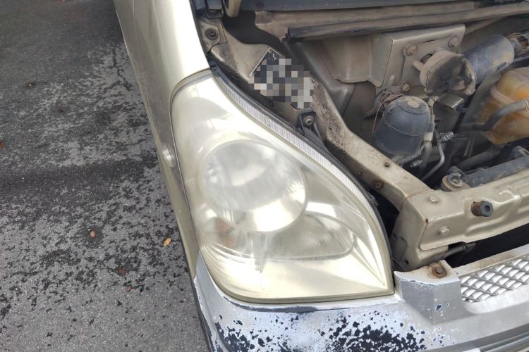 Used Wuling Rongguang 2011 1.2L Base Version Right Front Headlight