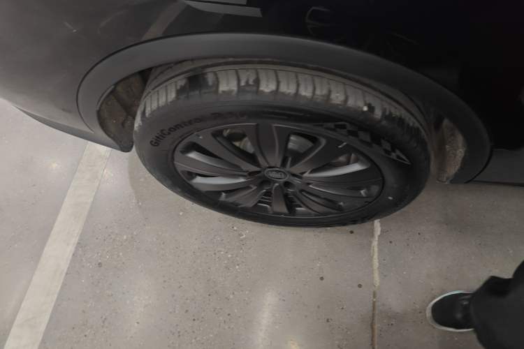 Used BYD Tang New Energy 2025 Model Smart Drive Version DM-i 175KM Prestige Version