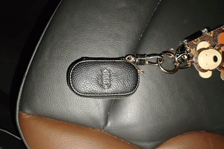 Used Audi Q5 2018 Collector's Edition 40 TFSI Technology Model Interior 1