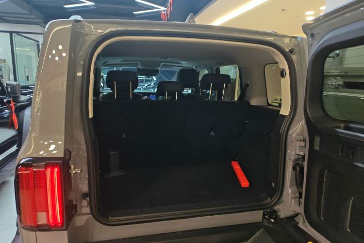 Used Tank 300 2024 2.0T Conqueror