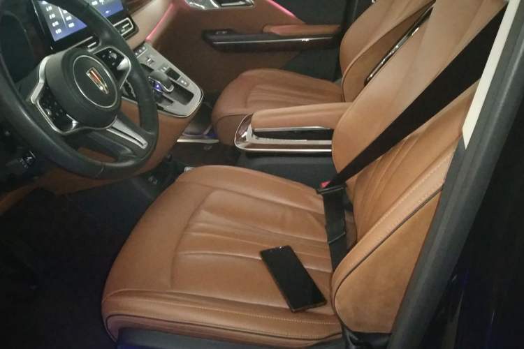 Used Hongqi HQ9 2023 2.0T Smart Connect Flagship Edition
