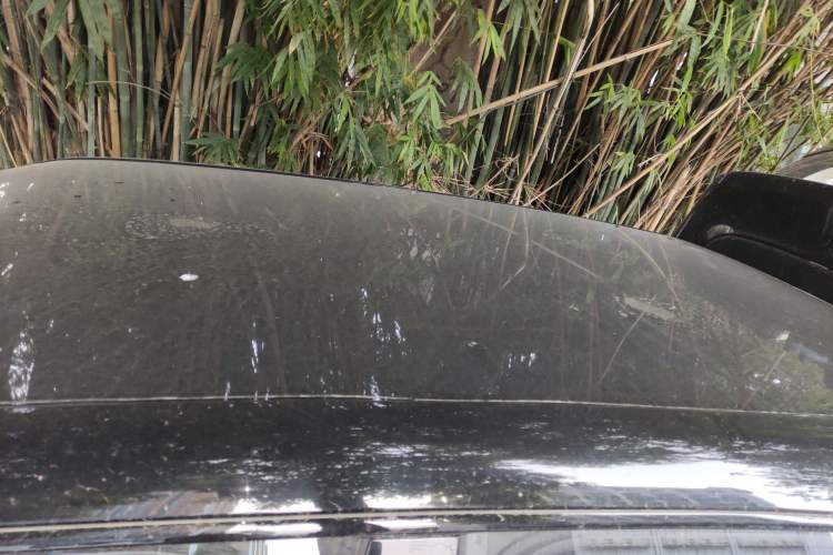 Used Dongfeng NAMMI 01 2024 Co-Creation Edition – Co-Creation WE Version