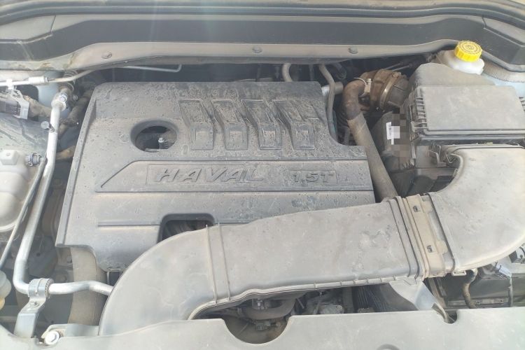 Used Haval H6 2021 National Trend Edition 1.5T Automatic Urban Version
