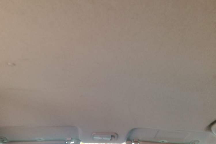 Used FORTHING S500 2016 1.5L Manual Comfort Model Headliner