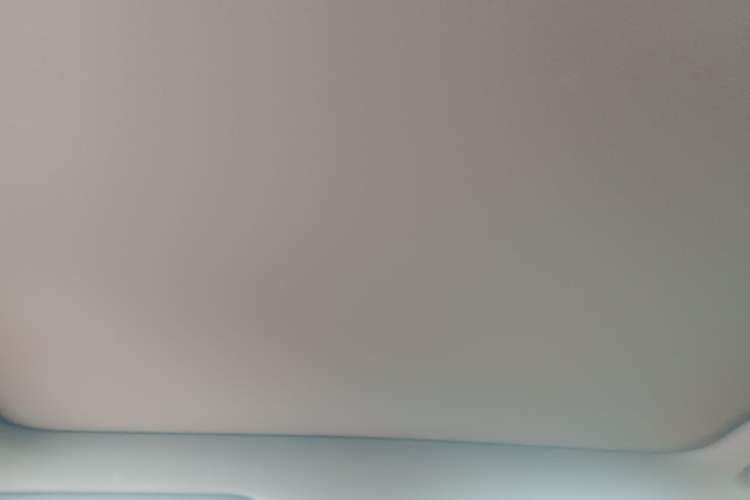 Used Li Auto L6 2024 Pro Model Headliner