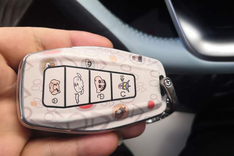 Used Geometry E Firefly 2024 301km Starlight Vehicle Key