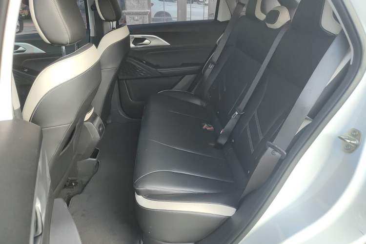 Used Geometry E Firefly 2023 401KM Linglong Tiger 5-Seater
