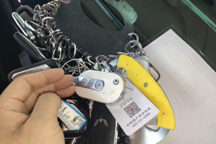 Used VOYAH FREE 2021 Four-Wheel Drive Extended-Range First Edition Commemorative Edition Exclusive Luxury Package
