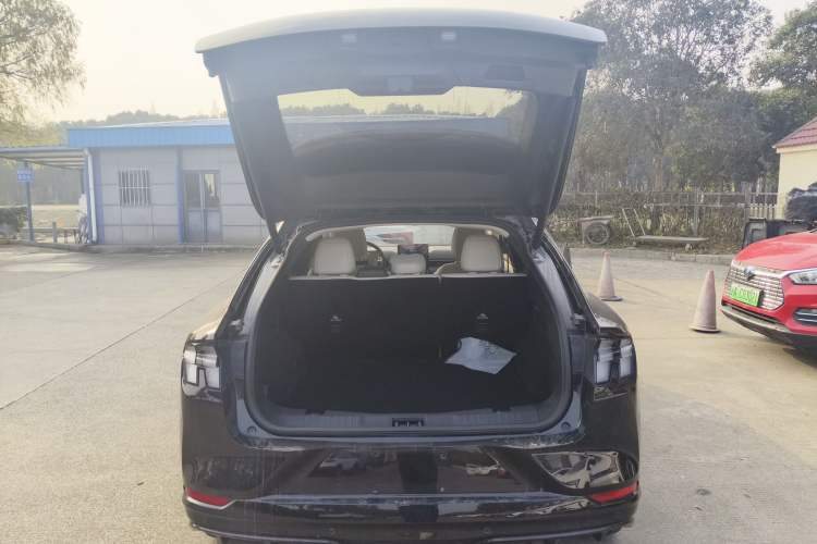 Used Ford Mustang Mach-E 2021 AION Y Plus Rear-Drive Luxury Edition (Long Range)
