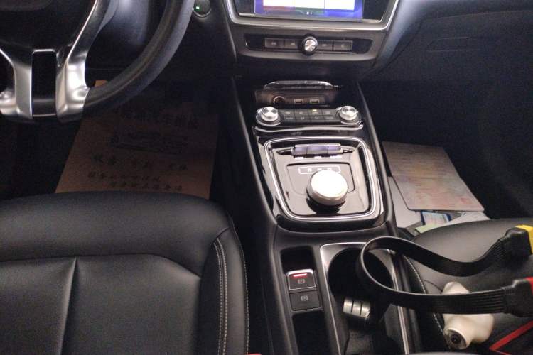 Used Roewe Ei5 2019 Luxury Edition Gear Lever