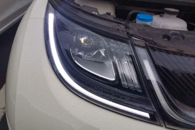 Used BYD Dolphin 2025 420km Free Edition