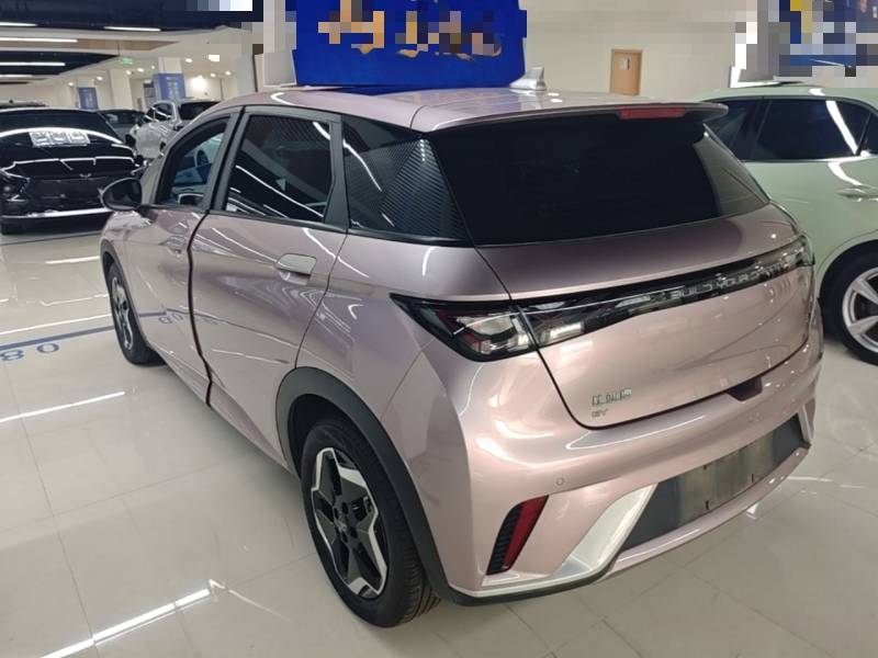Used BYD Dolphin 2021 405 km Fashion Edition — 28