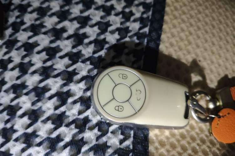 Used ORA Good Cat 2022 Morandi Edition 400km Standard Range Premium Version Lithium-Ion Battery Vehicle Key