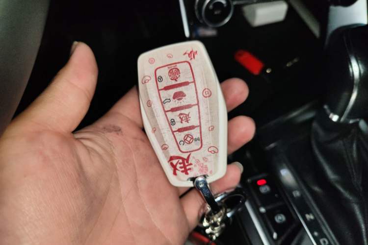 Used Geely Auto Binray 2018 14T CVT Binyi Edition