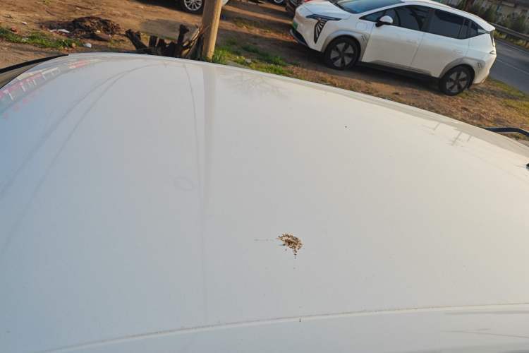 Used Audi A3 2020 Restyled Sportback 35 TFSI Entry-Level China VI Emission Standard Roof