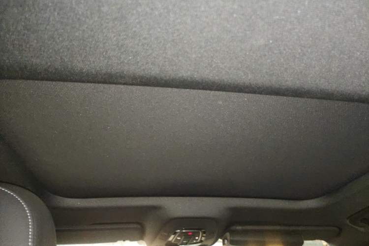 Used Audi A6L 2019 40 TFSI Luxury Dynamic Model Headliner