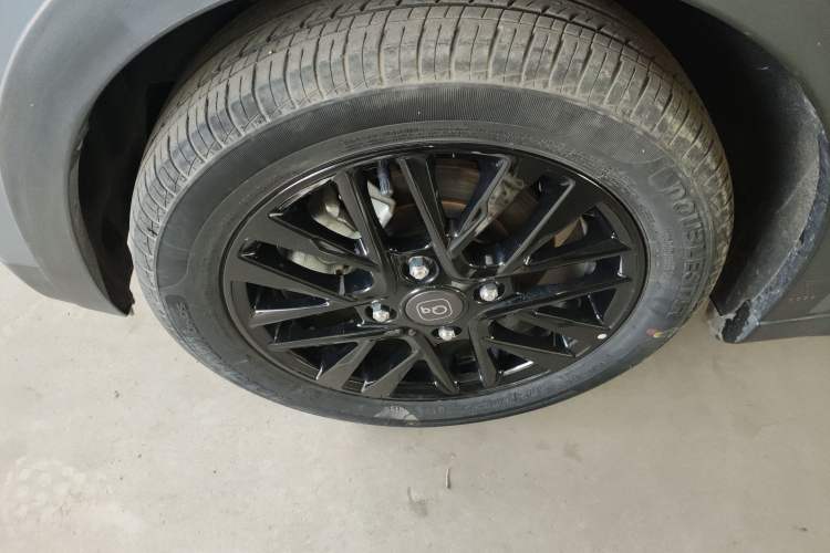 Used Chery Little Ant 2024 321km Love Edition
