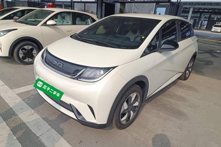 Used BYD Dolphin 2025 420km Free Edition