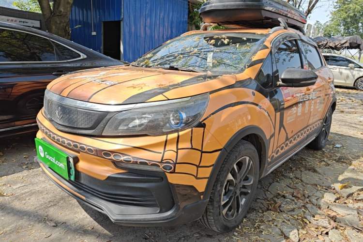 Used Livan Maple 30X 2020 Fenghua Edition