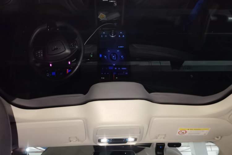 Used Ford Mustang Mach-E 2021 AION Y Plus Rear-Drive Luxury Edition (Long Range)
