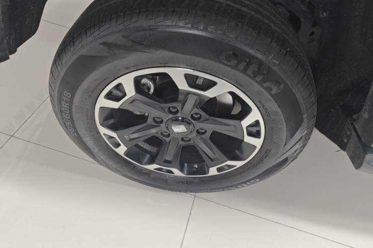 Used Tank 300 New Energy 2025 Hi4-T Exterior 1