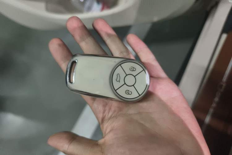 Used ORA Good Cat 2022 Morandi Edition 400km Standard Range Premium Version Lithium Iron Phosphate
