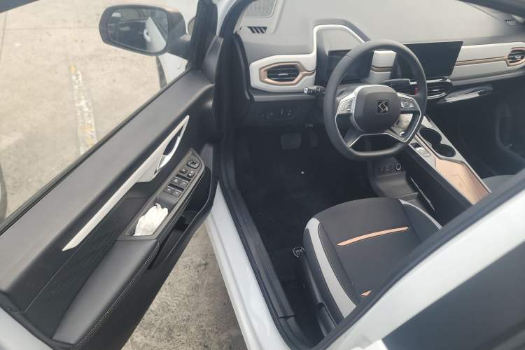 Used SOL E10X 2022 Flower Fairy Design Dandelion