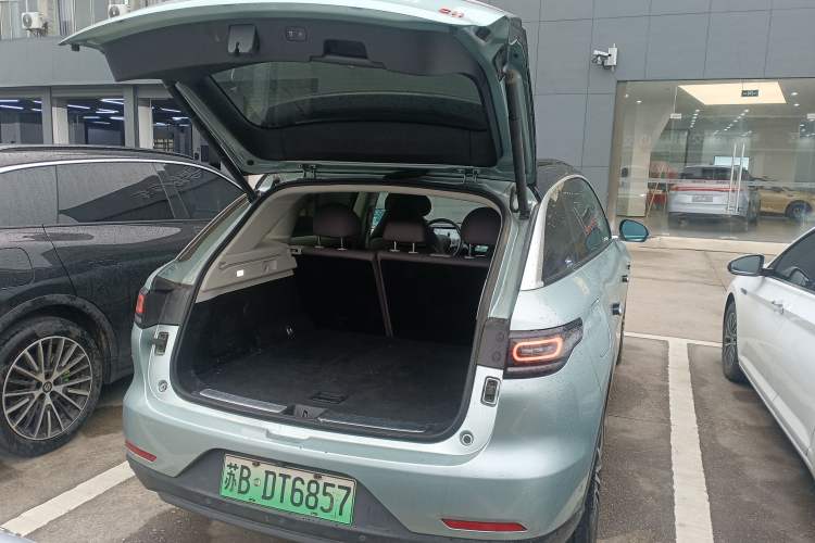 Used Leapmotor C11 2021 Performance Edition