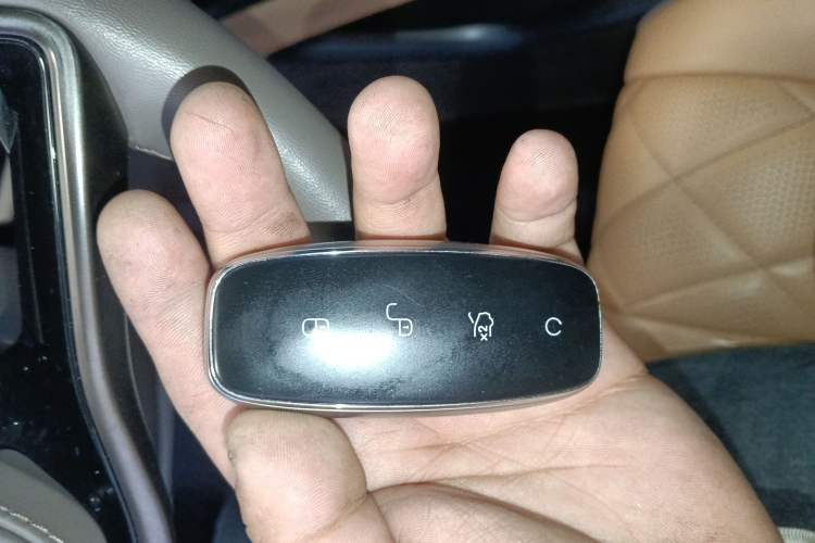 Used Denza D9 2022 DM-i 970 Four-Wheel Drive Flagship Model
