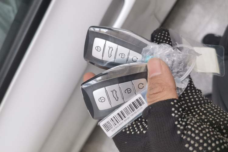 Used Geely Auto Binray 2024 Binrui COOL 1.5T DCT Longteng Edition