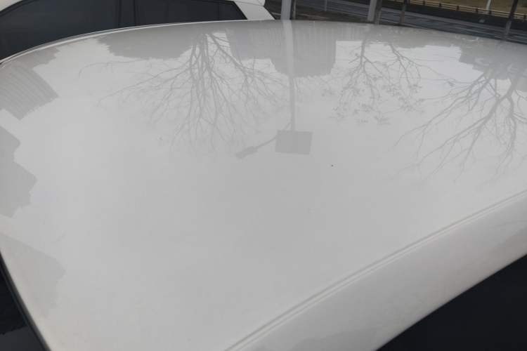 Used Volkswagen Polo 2016 1.4L Manual Fashion Model Roof