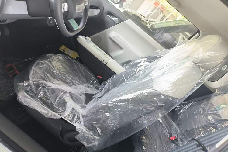 Used Qiyuan Lumin 2025 205 km Xiangqin Version
