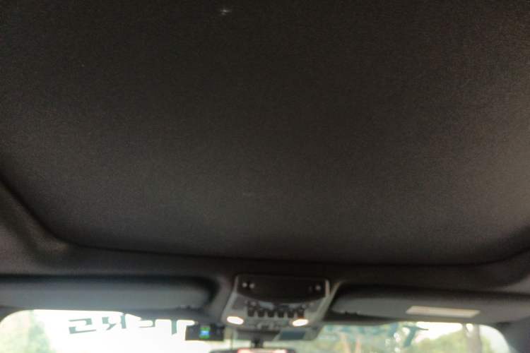 Used Ford F-150 Raptor 2019 3.5T Raptor Performance Enhanced Edition Headliner