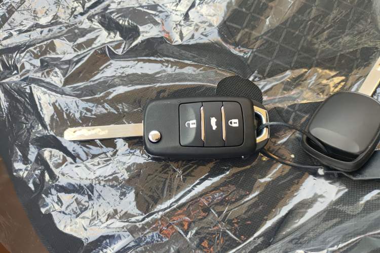 Used Qiyuan Lumin 2026 Model Treasure Edition 205km Beloved Beige Guoxuan