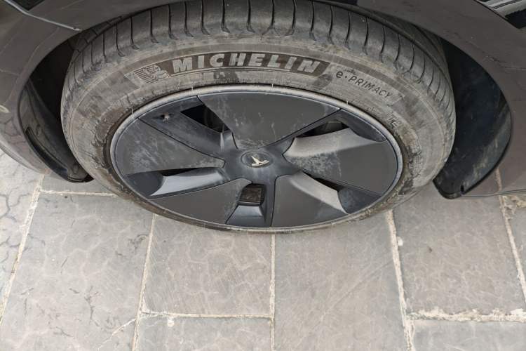 Used Tesla Model 3 2022 Rear-Wheel-Drive Version
